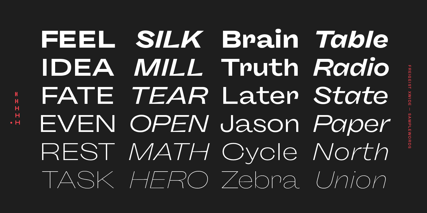 Przykład czcionki Freigeist XCon Medium Italic
